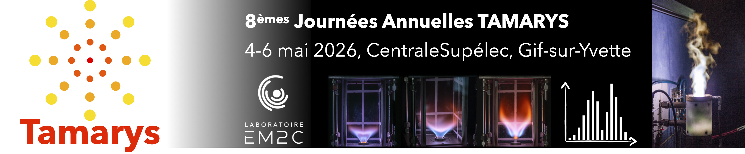 8-ÈMES JOURNÉES ANNUELLES DU GDR TAMARYS>